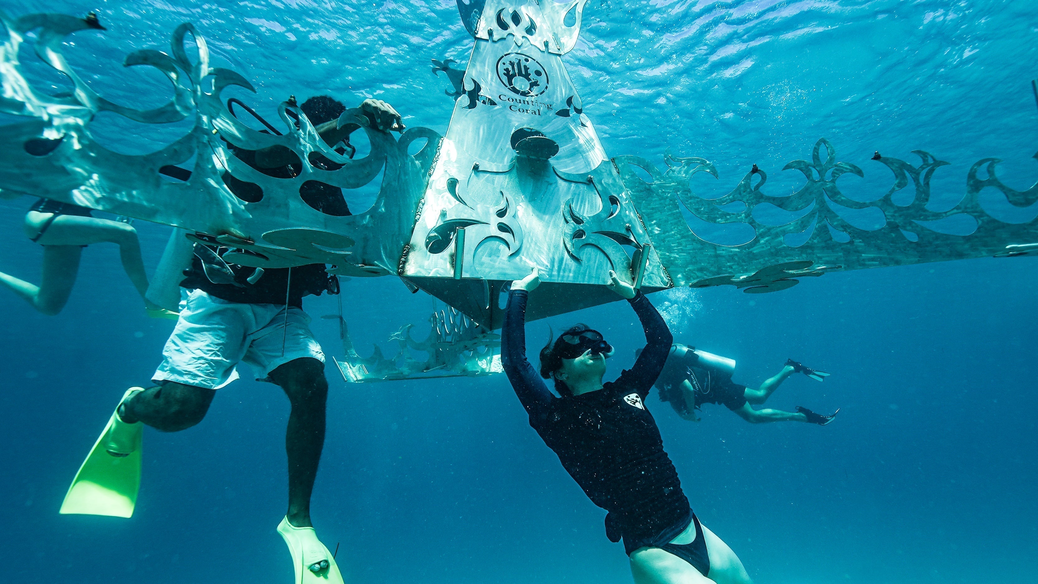 Thaynne Swimwear and Counting Coral: A Partnership to Restore Our Oceans